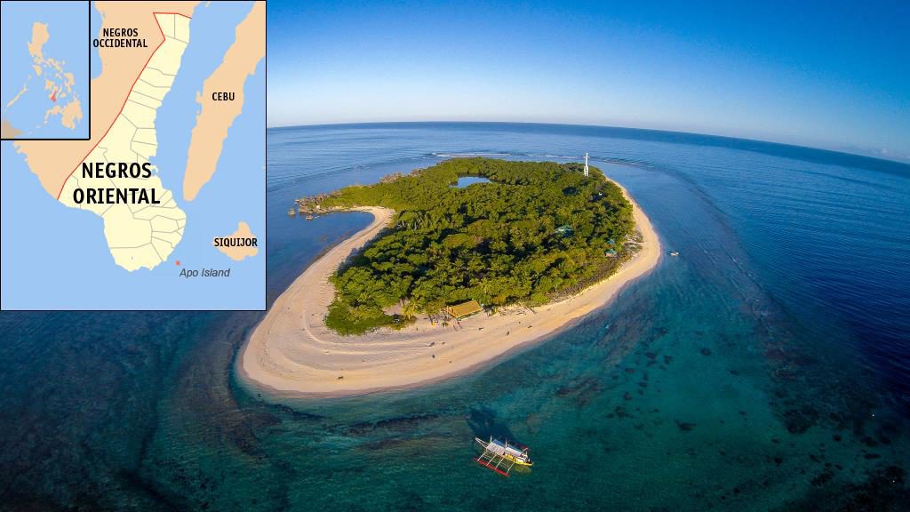 Apo Island. Source: map inset (Wikimedia / Mike Gonzales); image (Wikimedia / macoy.meijia)