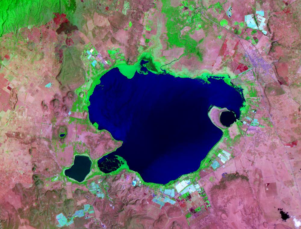 Satellite image of Lake Naivasha, Kenya. Source: NASA / public domain