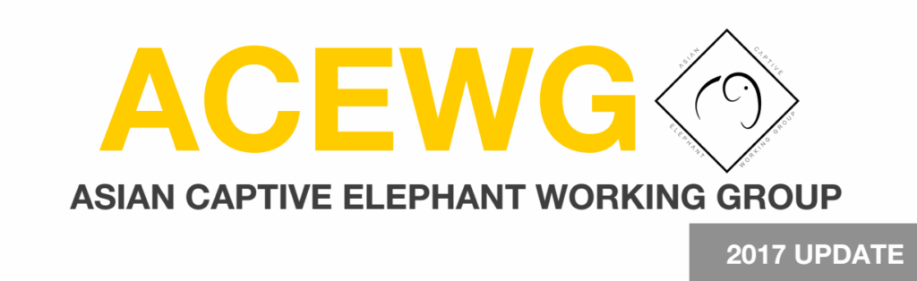 Asian Captive Elephant Working Group on elephant tourism