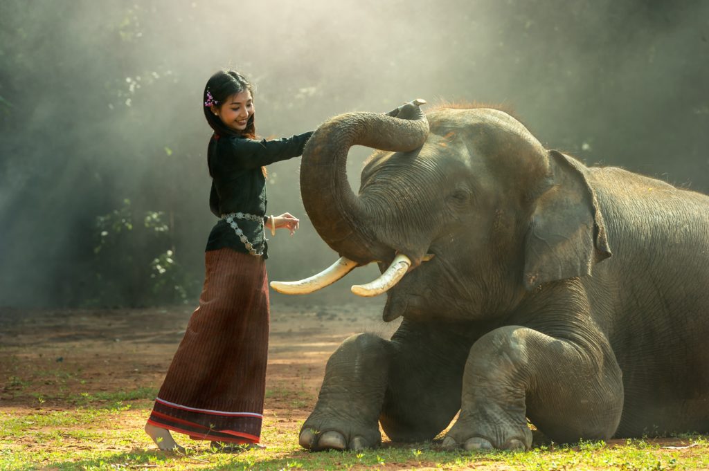 Girl with Asian elephant. Image source: Sasin Tipchai via Pixabay
