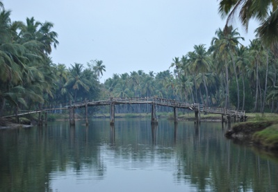 The Bharatapuzha, (River Nila) in Kerala, India. Source: The Blue Yonder