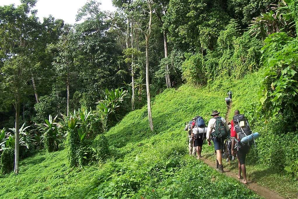 Hikers exploring the dense forests of Rural Tourism North, enjoying the scenic trails and rich natural beauty of the northern region.