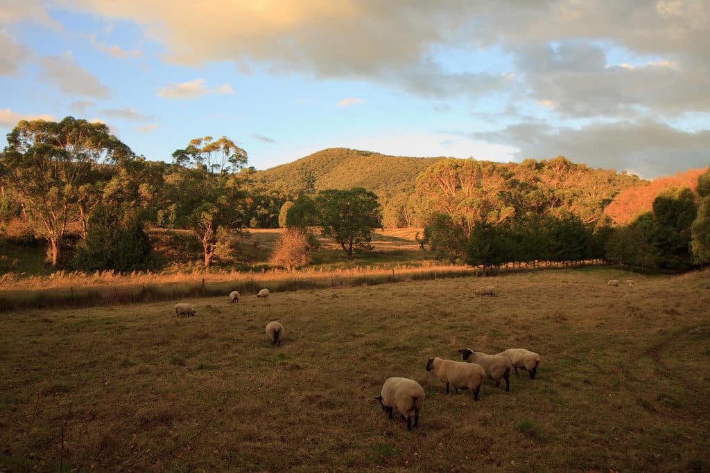 An example of rural tourism in Australia