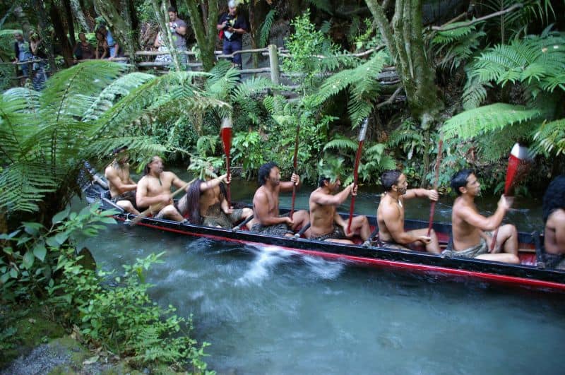 Rural tourism and cultural experience in New Zealand
