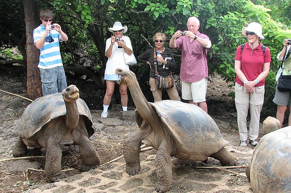 Galapagos tourism threatening the archipelago's native species
