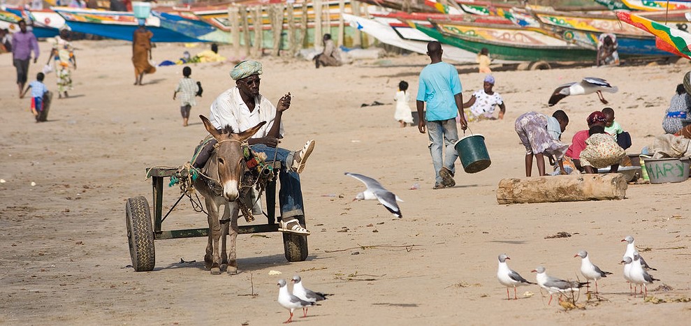  A beach in The Gambia. By Ikiwaner (CC BY-SA 3.0) via Wikimedia. ("GT" cropped it.)