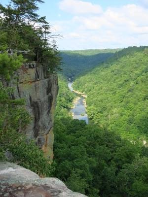 View from Angel Falls Overlook, Big South Fork National River and Recreation Area. Source: NPS.gov. https://www.nps.gov/im/aphn/biso.htm