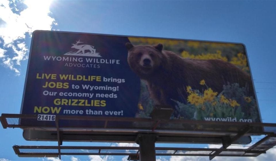 Wyoming Wildlife Advocates put up a new billboard outside Cody highlighting the economic importance of live wildlife. Image: Lamar Advertising via source.