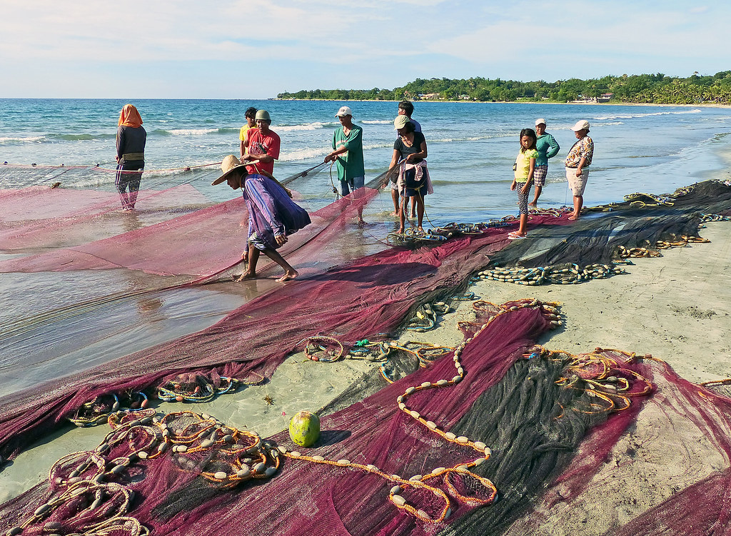 Attending the nets. Ilocos Norte, Philippines. By Bernard Spragg (CC0) via Flickr. https://www.flickr.com/photos/volvob12b/15580456084