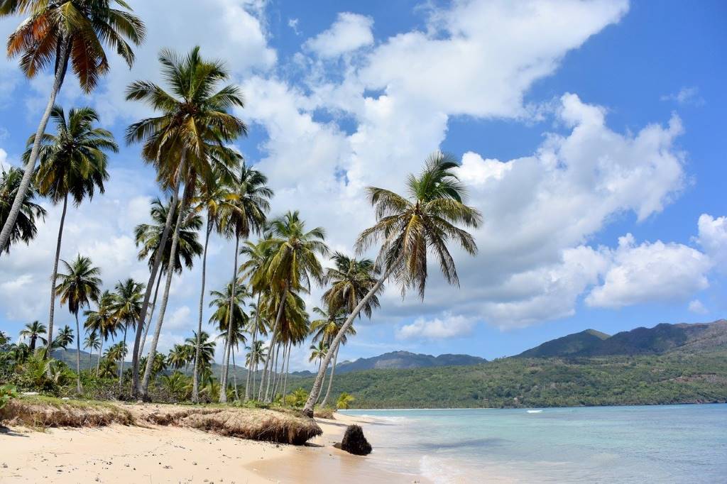The Dominican Republic has palm beaches too. Pic (CC0) via maxpixel. https://www.maxpixel.net/Caribbean-Sea-Beach-Dominican-Republic-Ocean-1879980