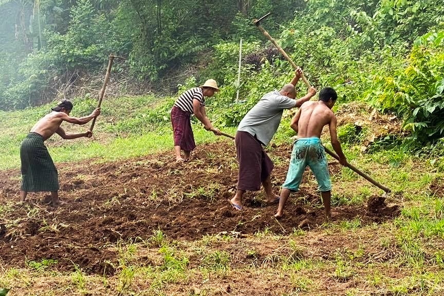 Tilling more land for crops to supply a new business model at Green Hill Valley Elephant Camp, Myanmar. (Image courtesy GHV)