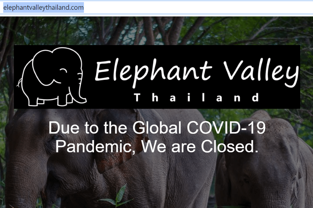 The sad notice greeting visitors to Elephant Valley Thailand's website.