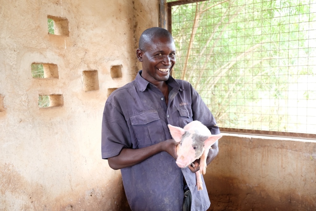 pig powered education uganda partnership tours