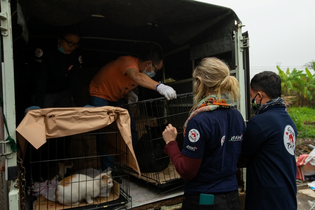 December 16, 2020 in Thai Binh, Vietnam: FOUR PAWS undertakes an animal rescue mission. © FOUR PAWS & Duc Nguyen