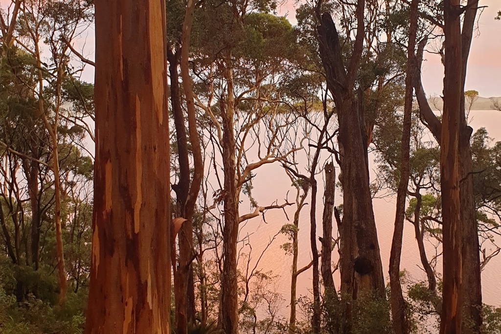 Calmness calls out the clouds at The Knoll, Walpole, Western Australia