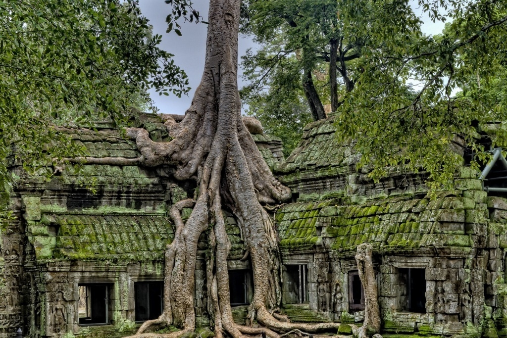 Cambodia's Angkor temples are now a crumbling curiosity centuries after the civilisation that built them declined, fell, and left their wonders to the elements. Ironically they are now the main attraction of a nation's tourism industry. Image by James Wheeler (CC0) via Unsplash. https://unsplash.com/photos/9zXMb-E8pI0