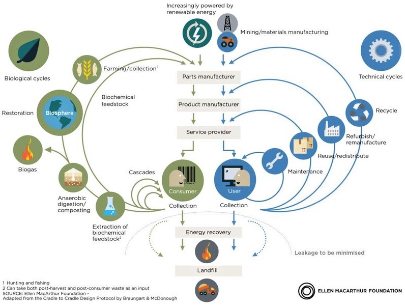 The circular economy is "an industrial system that is restorative by design", according to the Ellen Macarthur Foundation from which this butterfly diagram comes. https://www.ellenmacarthurfoundation.org/circular-economy/concept/infographic Supplied by author.