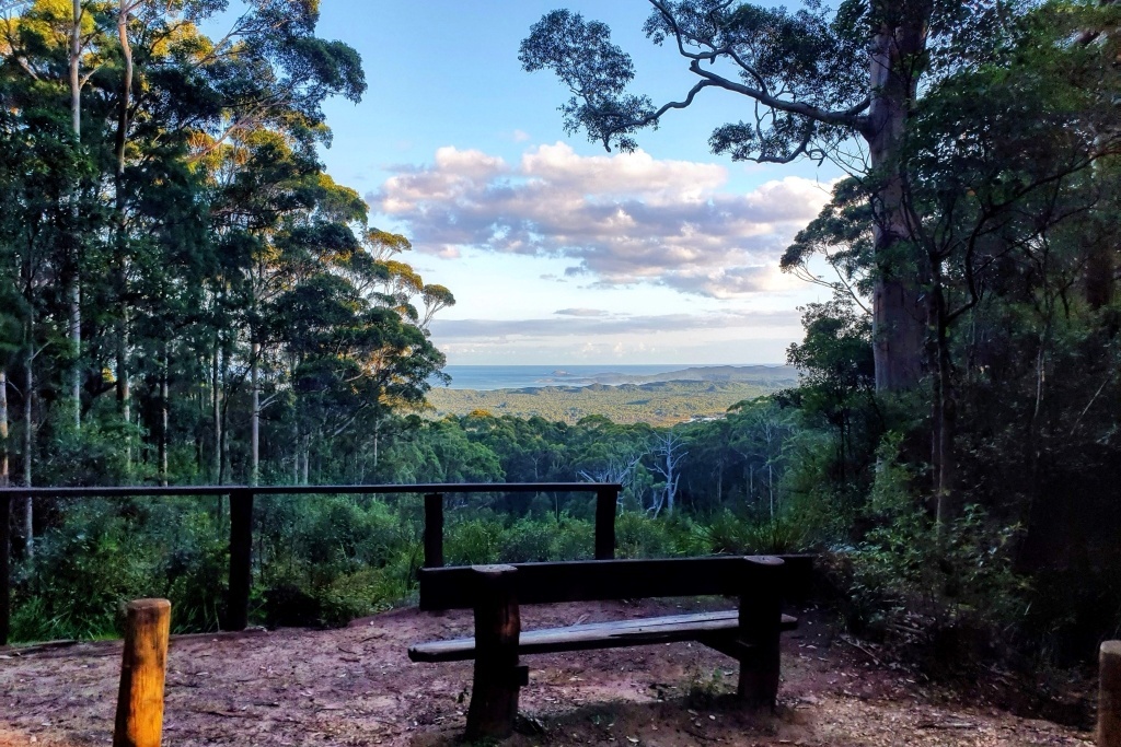 Shall we sit awhile? Hilltop Lookout, Walpole, Western Australia. Photo by David Gillbanks (CC by 4.0)