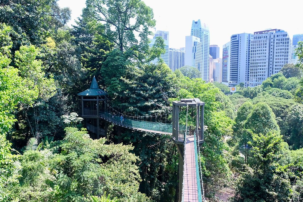 1024px KL Forest Eco Park Canopy Walk 8
