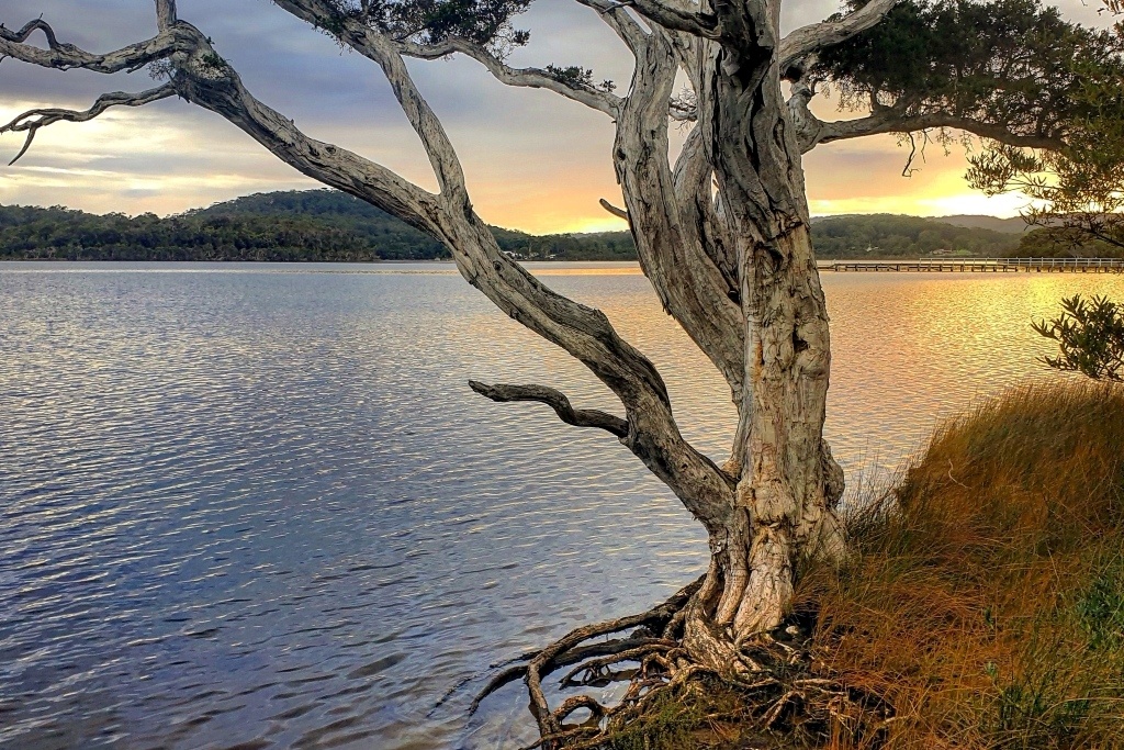 Walpole Inlet, Western Australia. Photo by David Gillbanks (CC by 4.0).