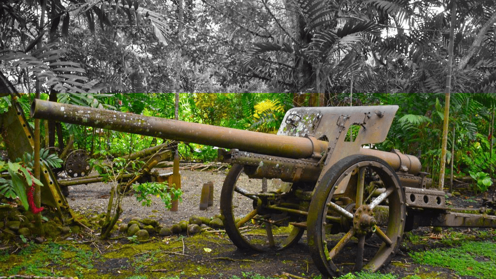 Abandoned artillery Guadalcanal Solomon Islands. Image by author.
