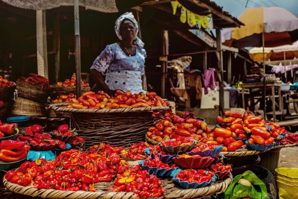 Pepper seller at a market in Abeokuta, the state capital of Ogun, Nigeria. Image by Omotayo Tajudeen (CC0) via unsplash. https://unsplash.com/photos/ME416b6sp2I