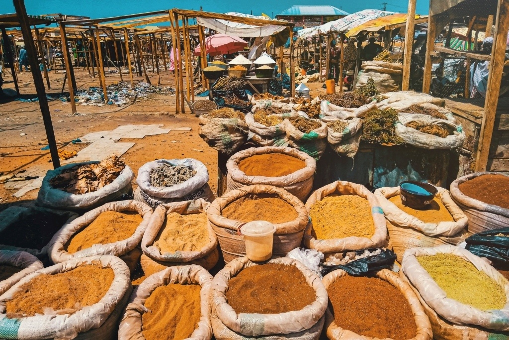 Spices, grains, fungi, herbs all for sale at a market in Bida, Niger state, central-west Nigeria. Image by Omotayo Tajudeen (CC0) via unsplash. https://unsplash.com/photos/N74ezMMIwy4