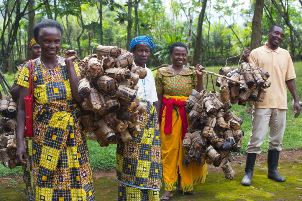 "Igihoho seed bags” are made from banana bark, a biodegradable alternative to plastic.
