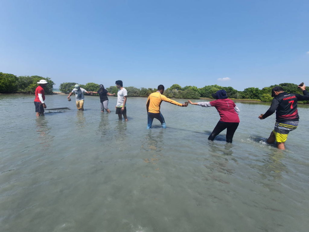 Khiri Travel Sri Lanka sustainable experiences include restoring seasgrasses in Kalpitiya