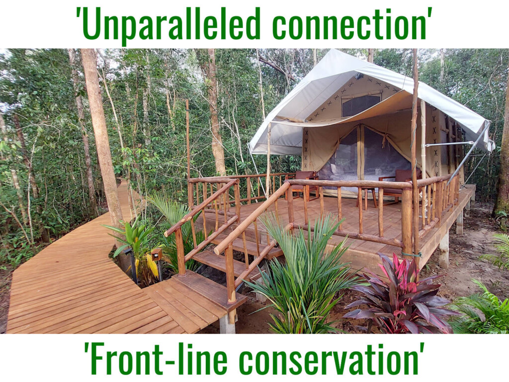 New river view tent at Cardamom Tented Camp in Cambodia