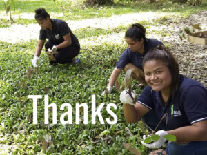 Anurak Community Lodge thanks Amazing Thailand for responsible tourism award