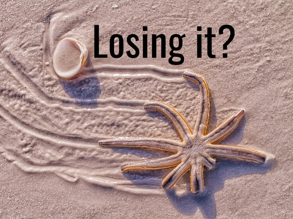 The problem with critical tourism studies (CTS). Is CTS losing its edge? Starfish image by Dulcey Lima (CC0) via Unsplash. https://unsplash.com/photos/a-starfish-on-a-sandy-beach-next-to-a-shell-q05M_2xqZUI